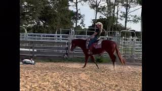 Something Bout Me. 2020 Filly By How Bout This Cowboy Out Of Go Figer