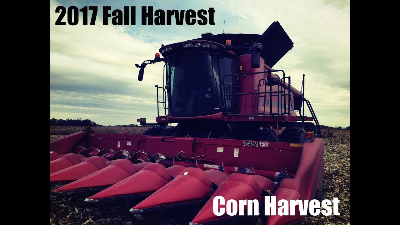 Maxwell Farms 2017 Corn Harvest: Case IH 6130 Combine - YouTube