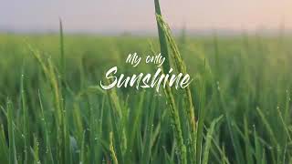 STORY WA (YOU ARE MY SHUNSHINE)