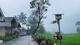 Сильный дождь в красивой холмистой деревне||очень сильный и красивый||индонезийская деревня