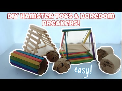 Video: 5 Ways to Make Hamster Toys from Items at Home