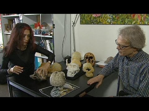 العثور على جمجمة بشرية في جورجيا تعود إلى 1 8 مليون سنة تلقي أضواء جديدة على أصل الإنسان