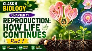 Class 9 Biology CHAPTER 11 β REPRODUCTION HOW LIFE CONTINUES β Part 1