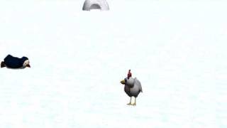 Chicken And Penguin