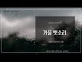 가을 빗소리 (feat. 영광테마식물원) Korea Rain Sound l ASMR l Nature Sounds l 우리의 소리를 찾아서