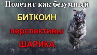 Глобальные перспективы у биткоина как у Шарика. Но локально он посматривает на 17600-19350.