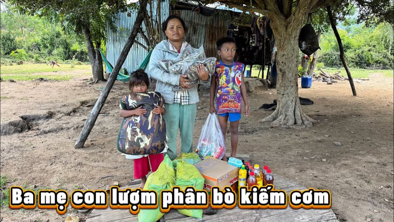BA MẸ CON NHỎ dắt nhau đi lượm PHÂN BÒ kiếm cơm ăn || 422