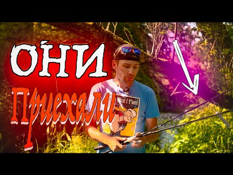 ОБЗОР НОВЫХ СПИННИНГОВ! ЛЕТО 2024! ИДЕАЛЬНЫЙ TRAVEL СПИННИНГ ДЛЯ ПУТЕШЕСТВИЙ! + АНОНС КОНКУРСА!