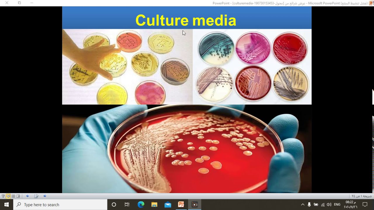 الاوساط الزرعية Culture Media