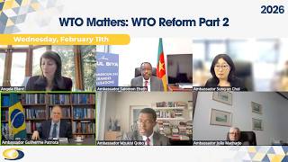 Information WTO Matters: WTO Reform Part 2 Guide