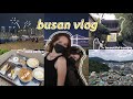 Vlog busan   core du sud 1