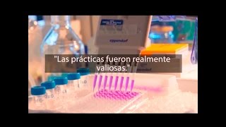 Comentarios De Estudiantes En Las Encuestas Docentes 20152016
