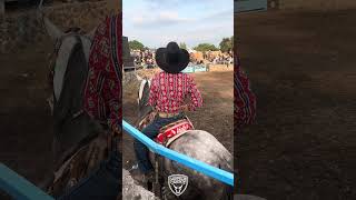 ‼️‼️🤠 Que Forma de Esperar al Toro 🐂 de Adolfo 😎🤠 #toros #caballos #tradiciones #rodeo