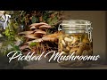 Pickled Mushrooms / Poplar Fieldcap
