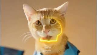 Download lagu Budi95 Shell 