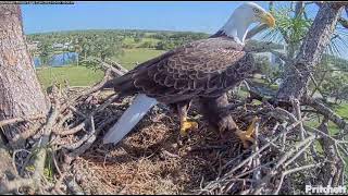 M15 Into the Nest with a Stick (Oct. 5, 2023)