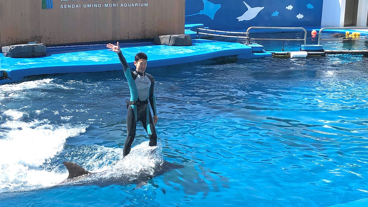(240414)仙台うみの杜水族館スタジアムライブ
