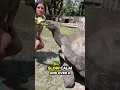 These Animals Don’t Age… Like Us 😳⏳