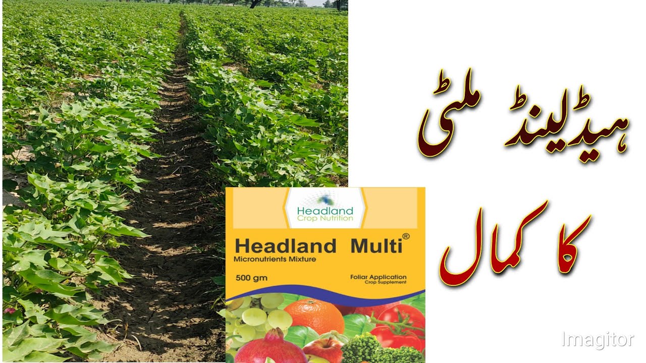 19- Headland Multi Swat Agro Results after Foliar Spray || Micronutrients Foliar Spray || Agri Me