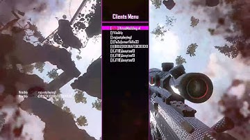 Bo2 hacker exposed