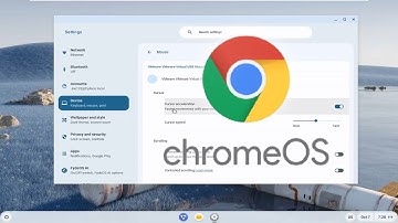 How To Change Mouse Cursor Acceleration on ChromeOS (Chromebook)