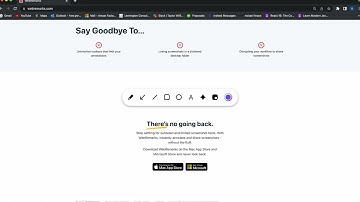 Google API Services Limited Use Disclosure Demo