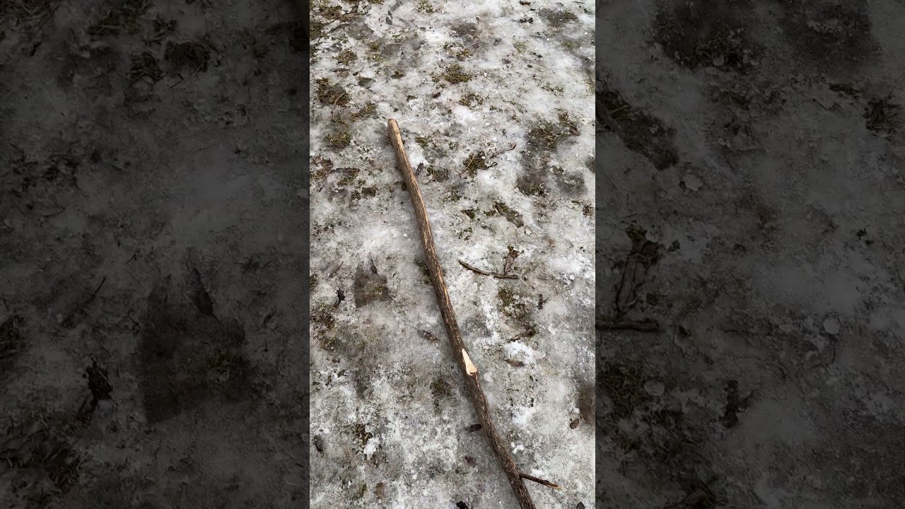 Неприємна знахідка на березі річки!😡