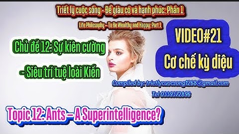 #V21#Chủđề12#Kiến siêu trí tuệ#Sự kiên cường #Topic12: Ants – A Superintelligence? #Resilience;