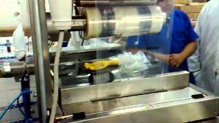 Termoformadora Envasado Tilapia - Envatek