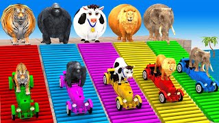Long Slide Game With Cow Elephant Gorilla Hippopotamus Tiger 3d Animal Game Funny 3d Animals Long Slide Game With Cow Elephant Gorilla Hippopotamus Tiger 3d Animal Game Funny 3d Animals