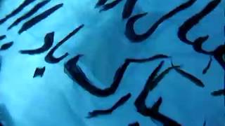 Balmorhea Scuba Diving - Happy Nowruz 1393