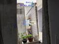 Delhi weather day by day #shorts #trending #vlog #minivlog #desksetup #food #motivation #lifestyle
