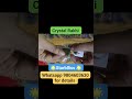 🎁 This Rakhi Gift Your Brother Luck, Success & Prosperity | Most Auspicious Raksha Bandhan Ritual 💫