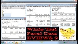 White Test Panel Data EVIEWS 9
