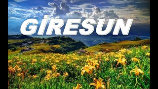 Gi̇resun Çay Ve Findik Di̇yarinda Tur I Turkey Gi̇resun Walki̇ng Tour Ci̇ty Center