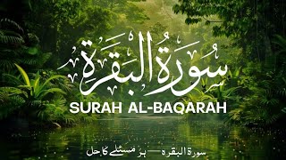 The Power Of Surah Albaqarah   Recitation U0026 Spiritual Healing