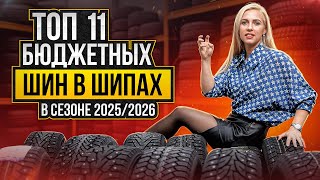 :      2025-2026 /  