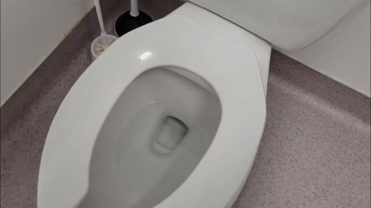 Dollar Tree Unisex Restroom YouTube