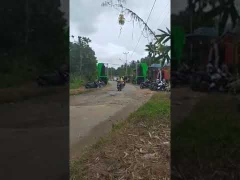 Sound bos muda electone