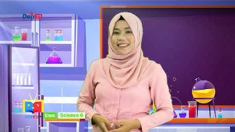 Grade 6 Science Q1 Ep1: Mixtures