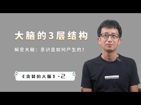 人类为什么比其他动物聪明？意识是如何产生的，它的目的是什么？【小播读书】