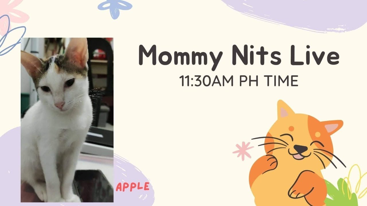 Mommy Nits Live with My Lovely Cats 03 NOV 2022 YouTube