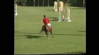 Cavalos De Tom Seabra Corrada 6 Anos Antonio Vozone