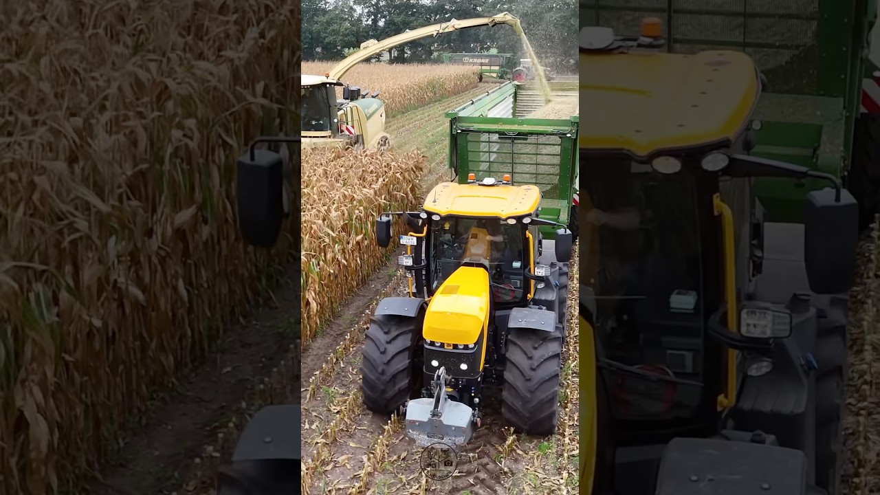 JCB Fastrac 4220 Icon #farming #agriculture #landwirtschaft #farmer #jcb Mais häckseln / harvest /