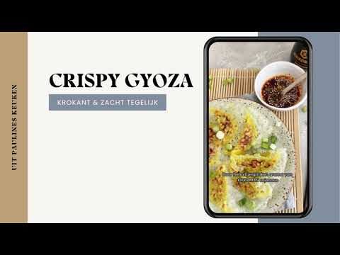 CRISPY GYOZA 🥟🔥⁠