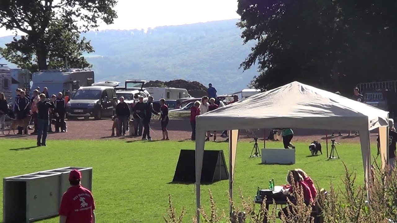 LM THS HSVRM 2014 VdH Hettenrodt HL 2 Lisa mit Indiana