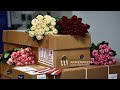 Армянские Цветы 🌹 теперь в Украине_Киеве_То от чего отказалась Москва - хочет ВЕСЬ МИР ! 🇦🇲#kap_tv #
