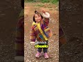 Me Persigue Un Lobo!