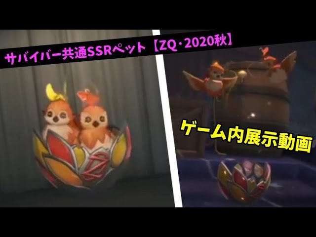 第五人格】サバイバー共通SSRペット『ZQ・2020秋』ゲーム内展示