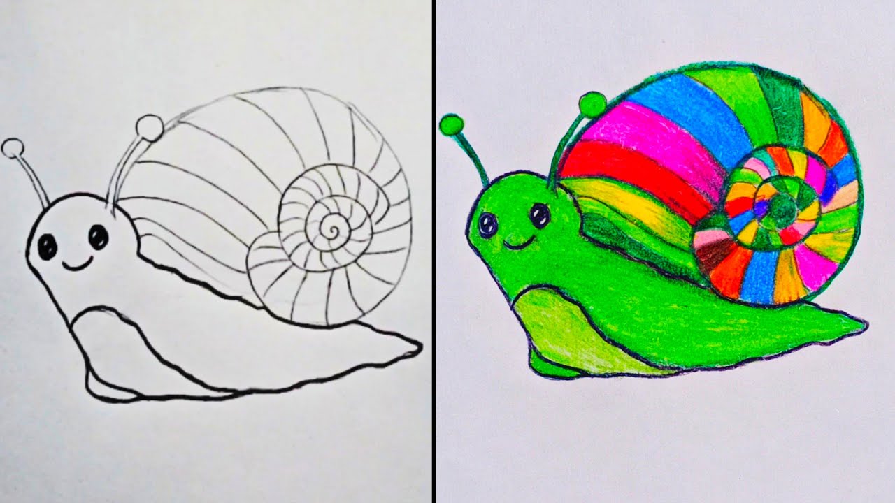 Snail Drawing | How to draw a snail step by step | Beginners drawing lesson | Colorful Drawing